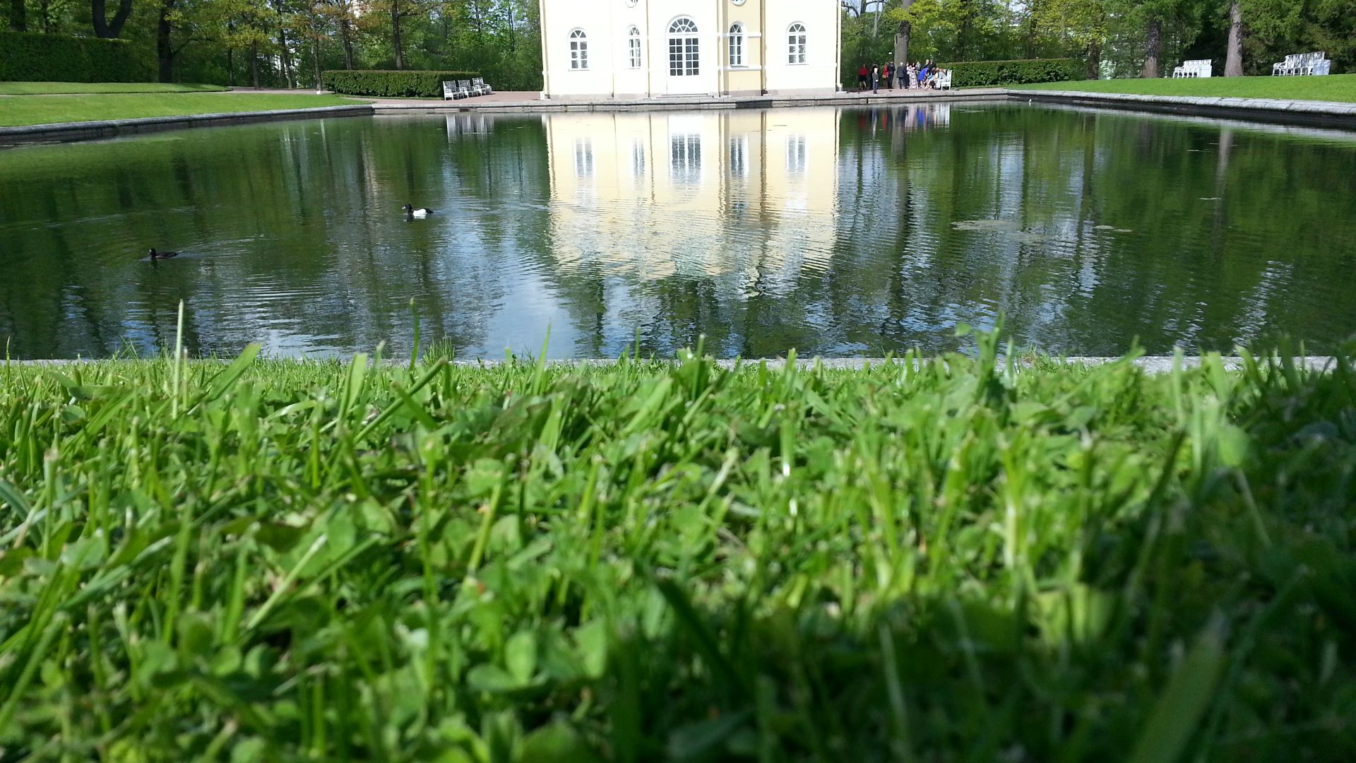 The Summer Palace of Catherine